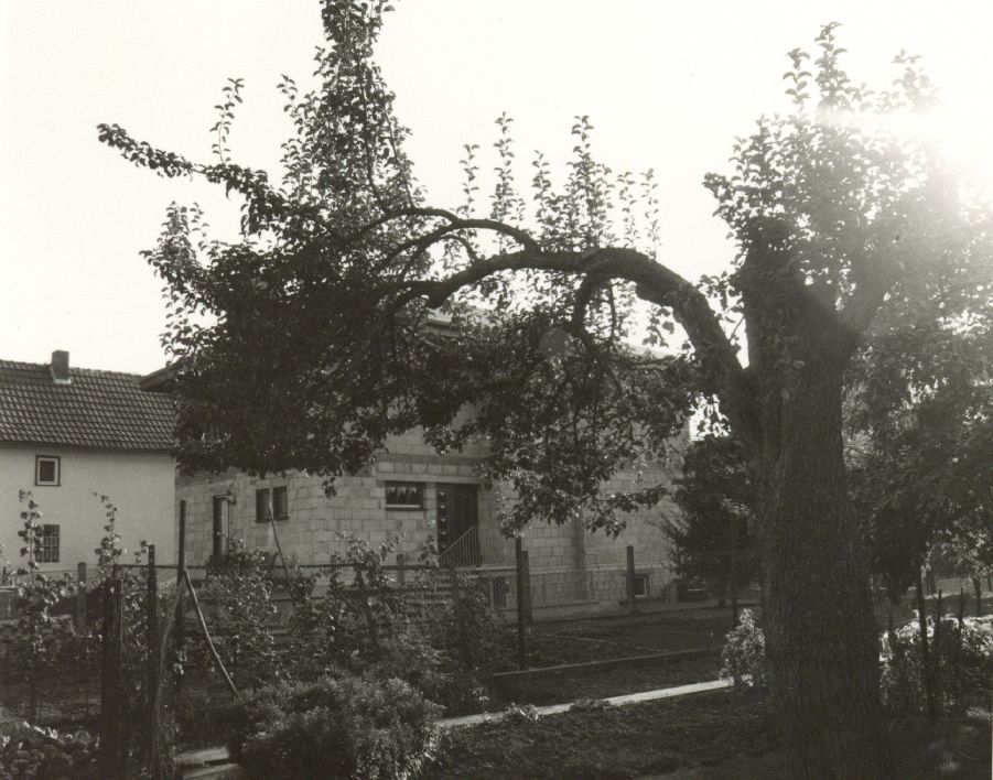 Burgsolms, Burghof 07