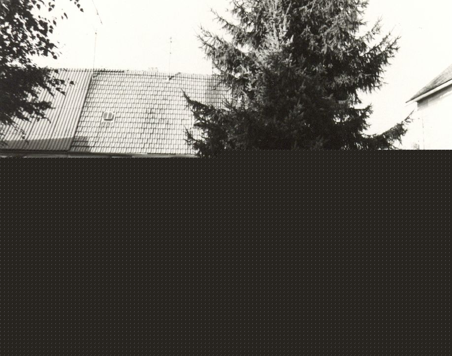 Burgsolms, Burghof 05