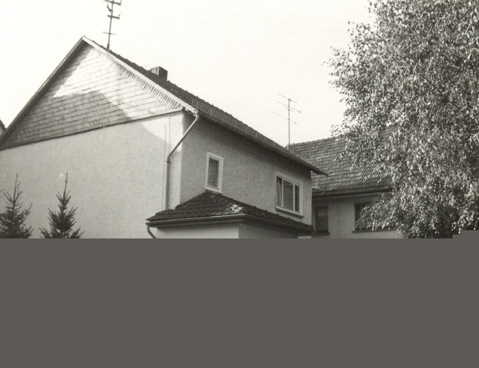 Burgsolms, Burghof 01