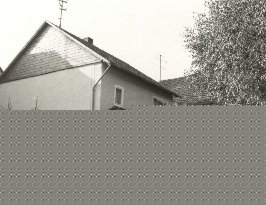Burgsolms, Burghof 01